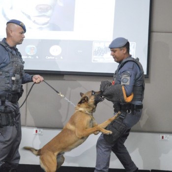 Com apoio do Baep, Energisa treina leituristas para prevenir ataques de cães nas ruas